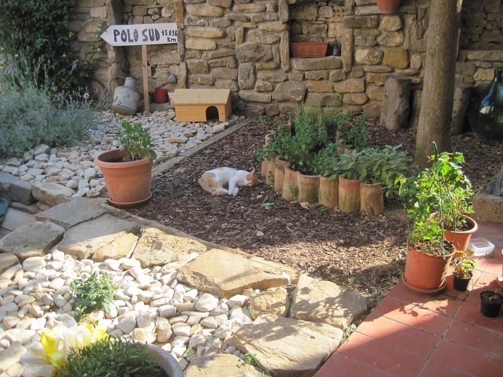Rosandra Bed & Breakfast San Dorligo della Valle Exterior photo