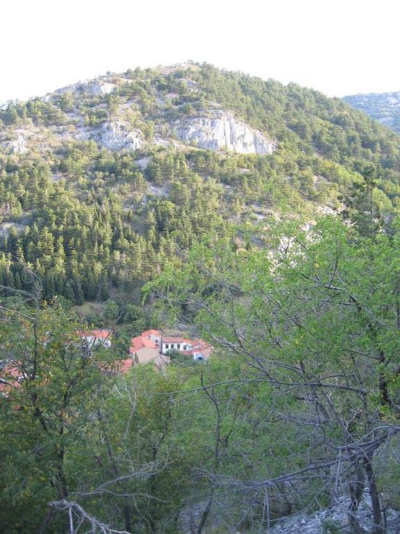 Rosandra Bed & Breakfast San Dorligo della Valle Exterior photo